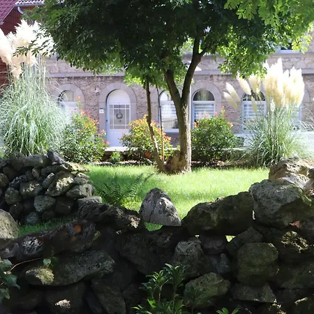 Besondere In דירה