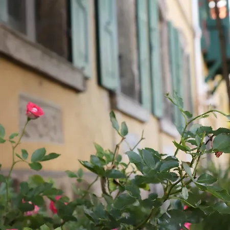 Besondere In Кёнигслуттер-ам-Эльм