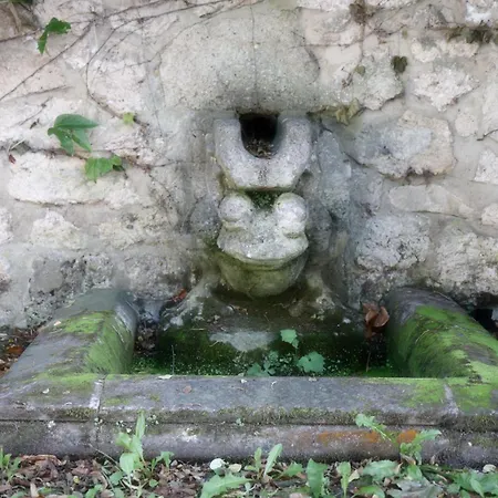 דירה Besondere In Königslutter am Elm